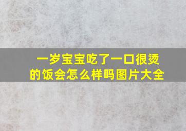 一岁宝宝吃了一口很烫的饭会怎么样吗图片大全