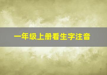 一年级上册看生字注音