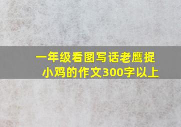 一年级看图写话老鹰捉小鸡的作文300字以上