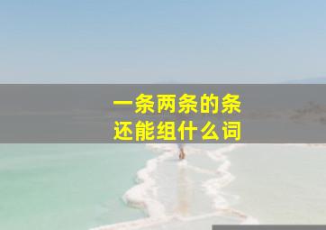 一条两条的条还能组什么词