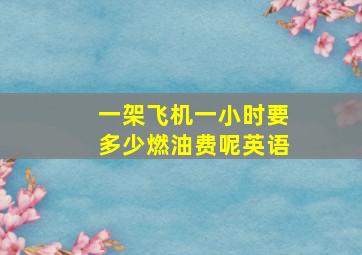 一架飞机一小时要多少燃油费呢英语