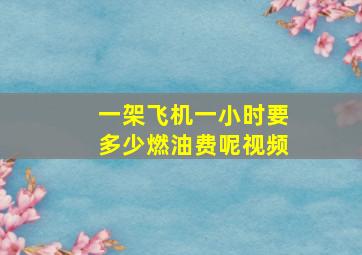 一架飞机一小时要多少燃油费呢视频