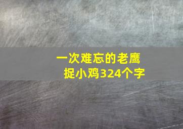 一次难忘的老鹰捉小鸡324个字