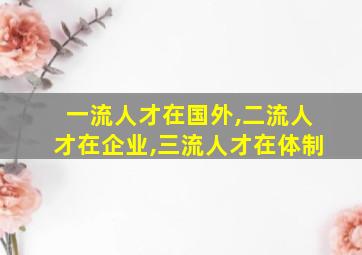 一流人才在国外,二流人才在企业,三流人才在体制