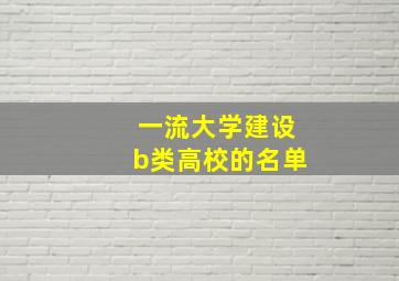 一流大学建设b类高校的名单