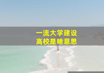 一流大学建设高校是啥意思