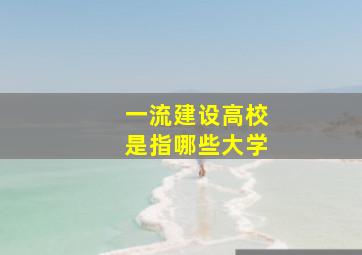 一流建设高校是指哪些大学