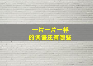 一片一片一样的词语还有哪些