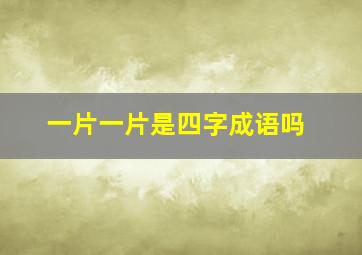 一片一片是四字成语吗