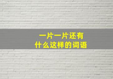 一片一片还有什么这样的词语