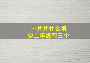 一片片什么填空二年级写三个