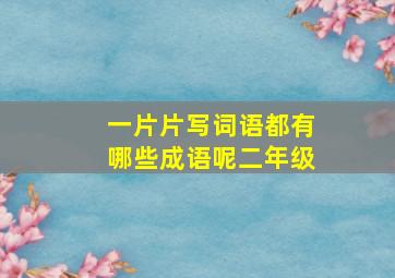 一片片写词语都有哪些成语呢二年级