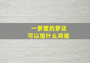 一箩筐的箩还可以组什么词语