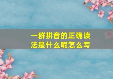 一群拼音的正确读法是什么呢怎么写