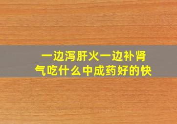 一边泻肝火一边补肾气吃什么中成药好的快