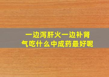 一边泻肝火一边补肾气吃什么中成药最好呢