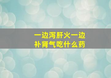 一边泻肝火一边补肾气吃什么药