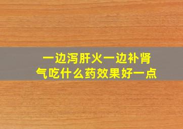 一边泻肝火一边补肾气吃什么药效果好一点