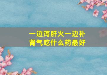 一边泻肝火一边补肾气吃什么药最好