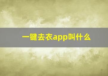 一键去衣app叫什么