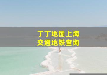 丁丁地图上海交通地铁查询