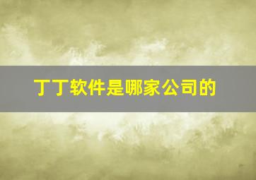 丁丁软件是哪家公司的