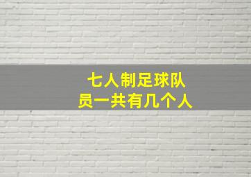 七人制足球队员一共有几个人