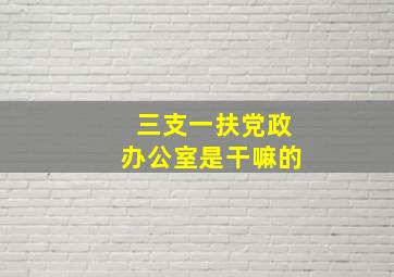 三支一扶党政办公室是干嘛的