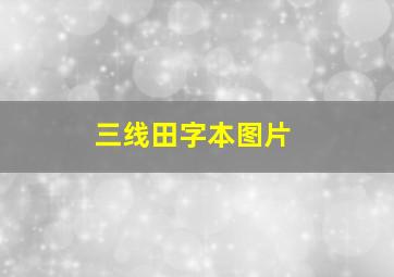 三线田字本图片