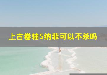 上古卷轴5纳菲可以不杀吗