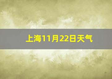 上海11月22日天气