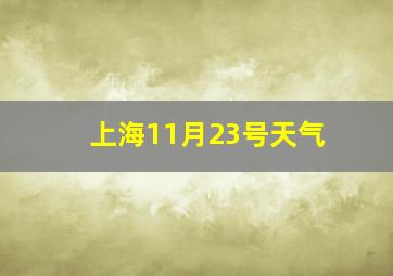 上海11月23号天气