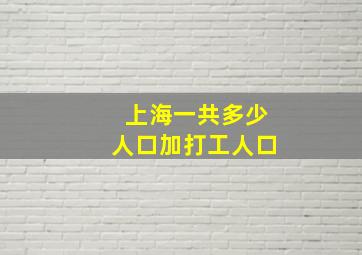 上海一共多少人口加打工人口