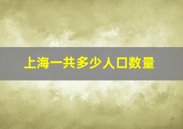 上海一共多少人口数量