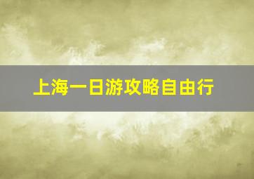 上海一日游攻略自由行