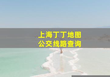 上海丁丁地图公交线路查询