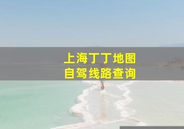 上海丁丁地图自驾线路查询