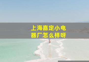 上海嘉定小电器厂怎么样呀