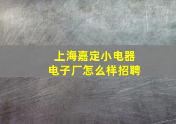 上海嘉定小电器电子厂怎么样招聘