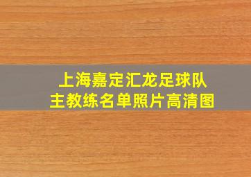 上海嘉定汇龙足球队主教练名单照片高清图