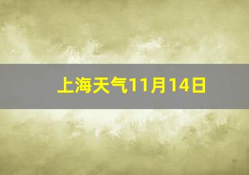 上海天气11月14日