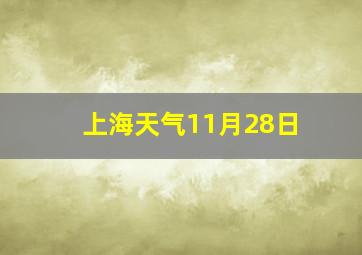 上海天气11月28日