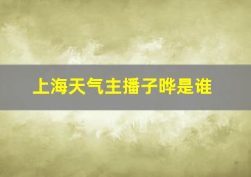 上海天气主播子晔是谁