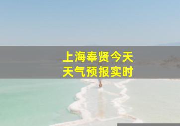 上海奉贤今天天气预报实时