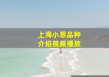 上海小葱品种介绍视频播放