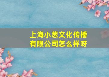 上海小葱文化传播有限公司怎么样呀