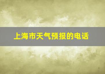 上海市天气预报的电话