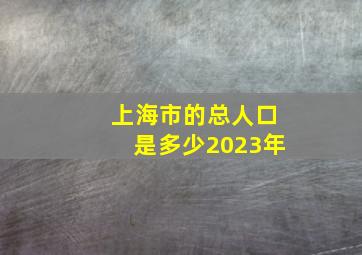 上海市的总人口是多少2023年