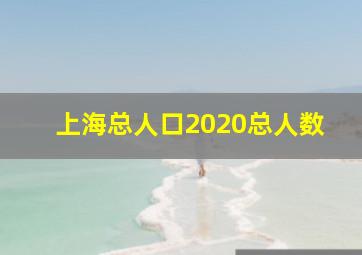 上海总人口2020总人数