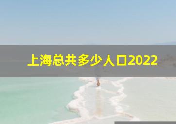 上海总共多少人口2022